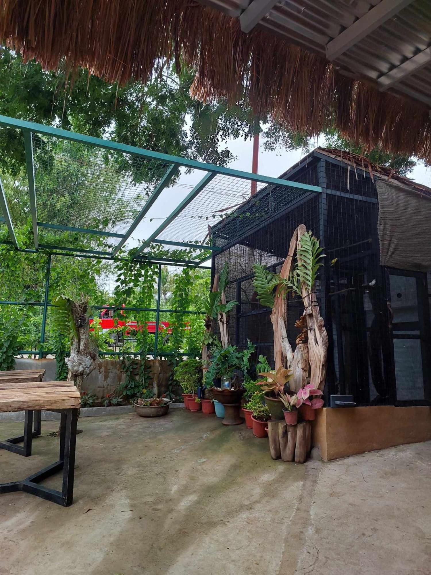 Vikings Ecolodge San Juan  Ngoại thất bức ảnh
